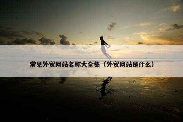 常见外贸网站名称大全集（外贸网站是什么）