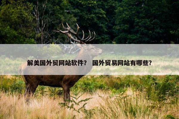 解美国外贸网站软件？ 国外贸易网站有哪些？