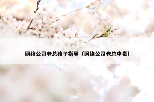 网络公司老总孩子指导（网络公司老总中毒）