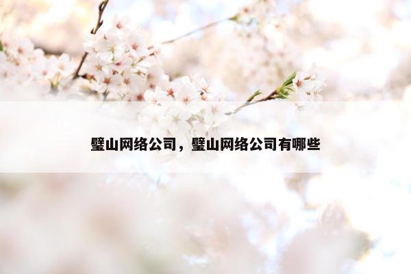 璧山网络公司，璧山网络公司有哪些