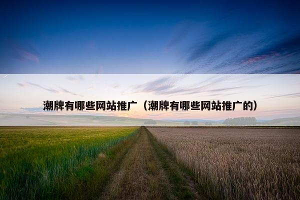 潮牌有哪些网站推广（潮牌有哪些网站推广的）
