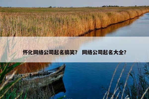 怀化网络公司起名搞笑？ 网络公司起名大全？