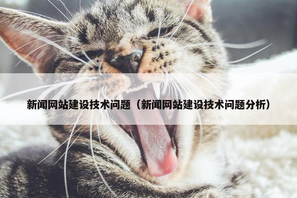 新闻网站建设技术问题（新闻网站建设技术问题分析）
