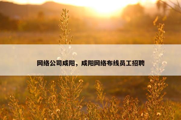 网络公司咸阳，咸阳网络布线员工招聘