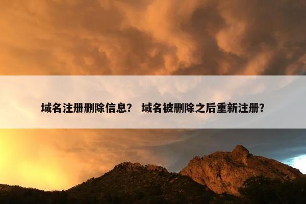 域名注册删除信息？ 域名被删除之后重新注册？