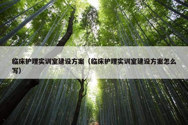 临床护理实训室建设方案（临床护理实训室建设方案怎么写）
