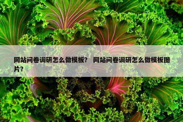 网站问卷调研怎么做模板？ 网站问卷调研怎么做模板图片？