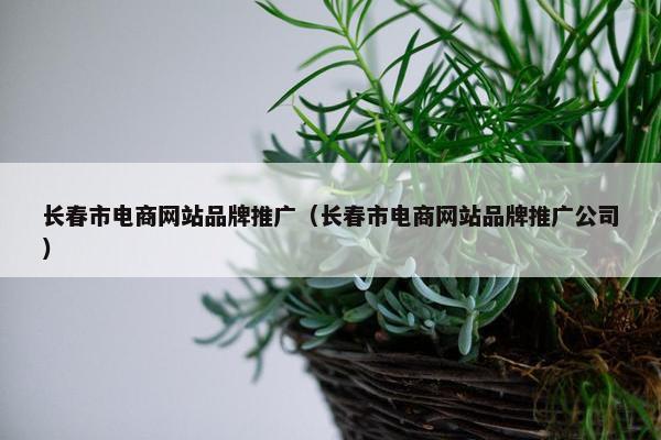 长春市电商网站品牌推广（长春市电商网站品牌推广公司）