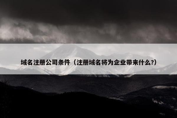 域名注册公司条件（注册域名将为企业带来什么?）