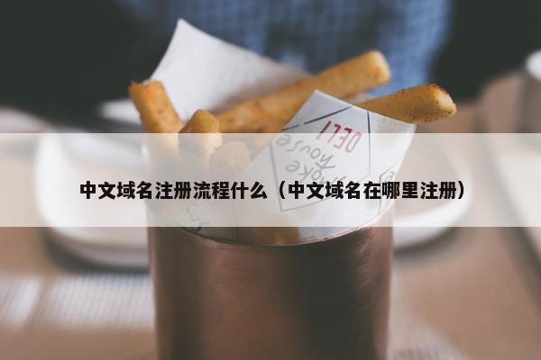 中文域名注册流程什么（中文域名在哪里注册）