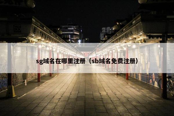 sg域名在哪里注册（sb域名免费注册）