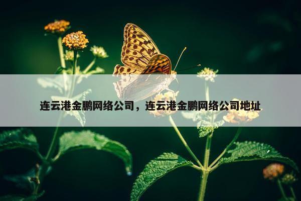 连云港金鹏网络公司，连云港金鹏网络公司地址