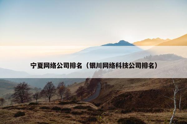 宁夏网络公司排名（银川网络科技公司排名）