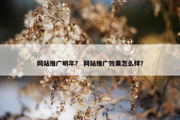 网站推广明年？ 网站推广效果怎么样？