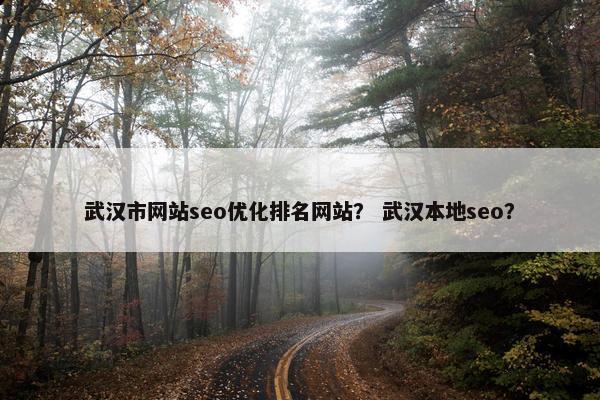 武汉市网站seo优化排名网站？ 武汉本地seo？