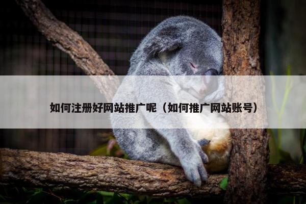 如何注册好网站推广呢（如何推广网站账号）