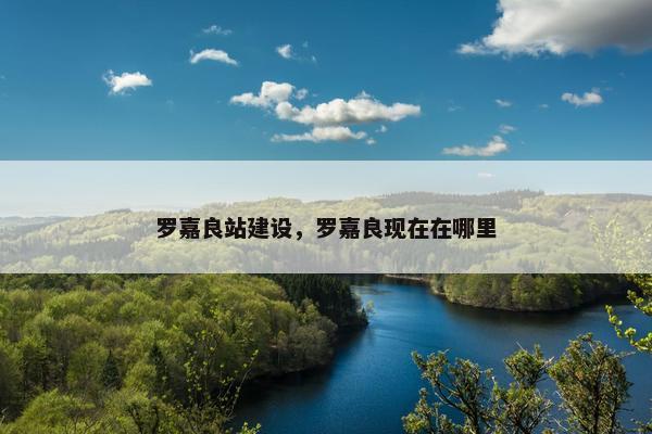 罗嘉良站建设，罗嘉良现在在哪里