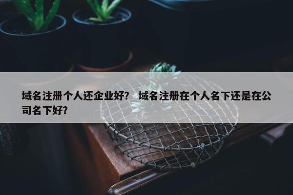 域名注册个人还企业好？ 域名注册在个人名下还是在公司名下好？