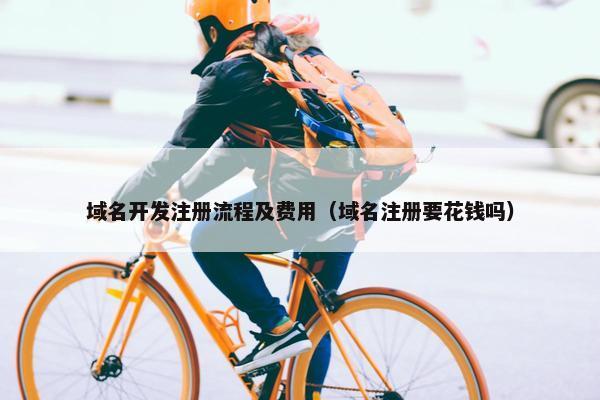 域名开发注册流程及费用（域名注册要花钱吗）