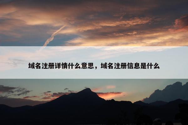 域名注册详情什么意思，域名注册信息是什么
