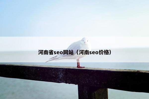 河南省seo网站（河南seo价格）