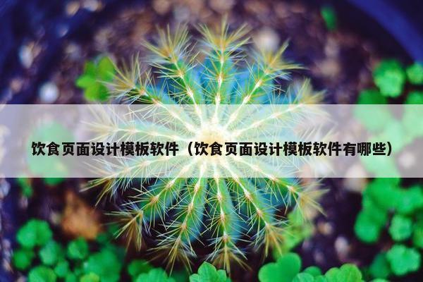 饮食页面设计模板软件（饮食页面设计模板软件有哪些）