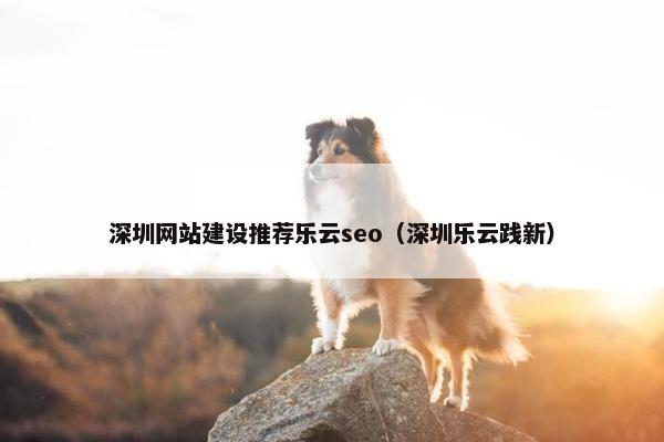 深圳网站建设推荐乐云seo（深圳乐云践新）
