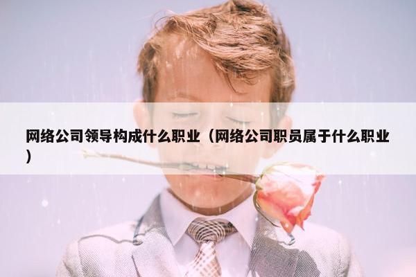网络公司领导构成什么职业（网络公司职员属于什么职业）
