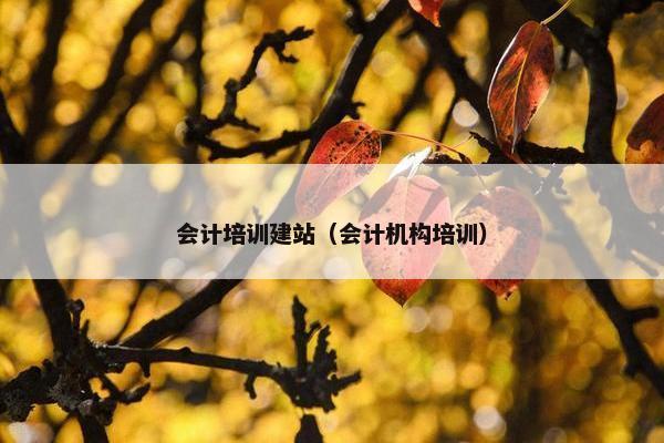 会计培训建站（会计机构培训）