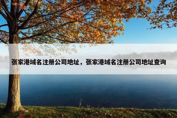 张家港域名注册公司地址，张家港域名注册公司地址查询