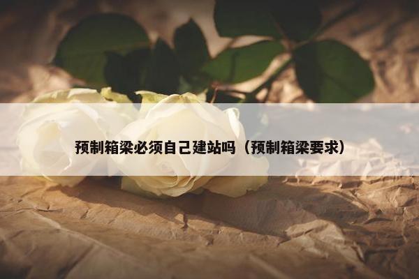 预制箱梁必须自己建站吗（预制箱梁要求）