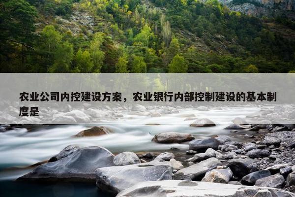 农业公司内控建设方案，农业银行内部控制建设的基本制度是