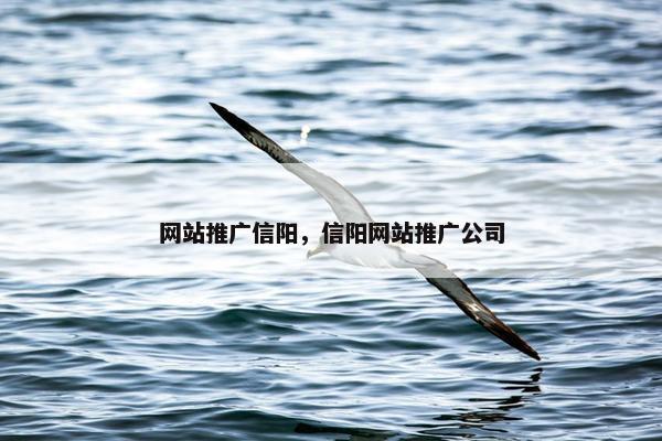 网站推广信阳，信阳网站推广公司