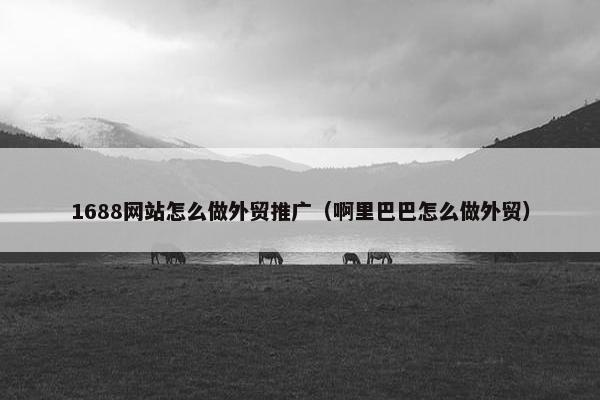 1688网站怎么做外贸推广（啊里巴巴怎么做外贸）