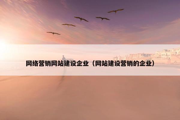 网络营销网站建设企业（网站建设营销的企业）