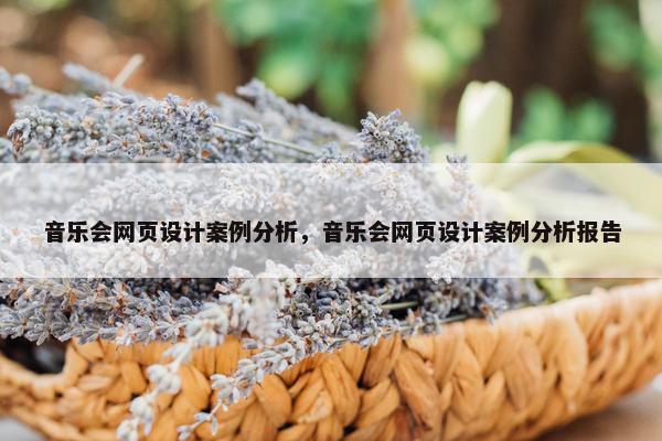 音乐会网页设计案例分析，音乐会网页设计案例分析报告