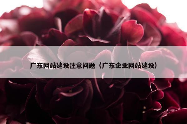 广东网站建设注意问题（广东企业网站建设）