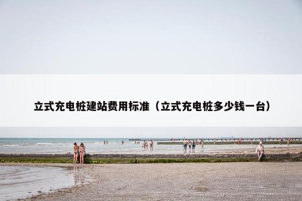 立式充电桩建站费用标准（立式充电桩多少钱一台）