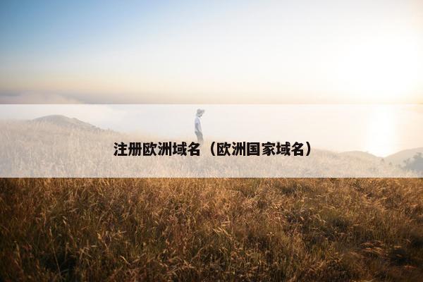 注册欧洲域名（欧洲国家域名）