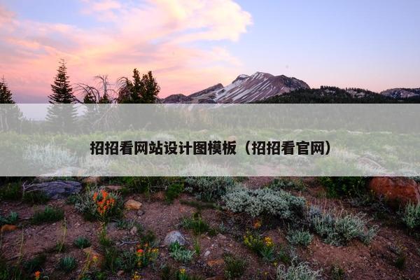 招招看网站设计图模板（招招看官网）