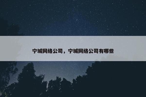 宁城网络公司，宁城网络公司有哪些