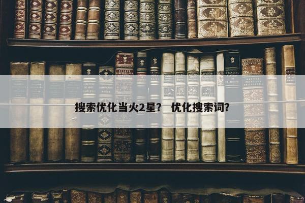 搜索优化当火2星？ 优化搜索词？