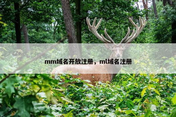 mm域名开放注册，ml域名注册