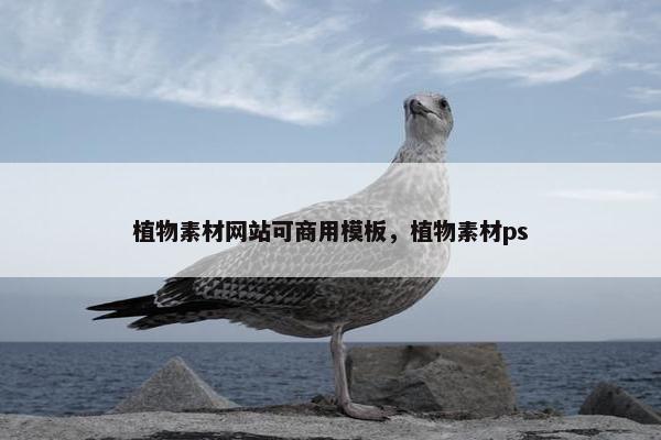 植物素材网站可商用模板，植物素材ps