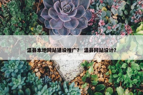 温县本地网站建设推广？ 温县网站设计？