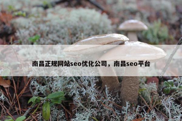 南昌正规网站seo优化公司，南昌seo平台