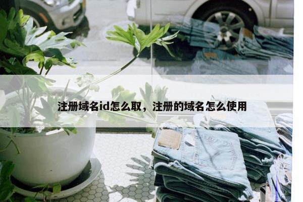 注册域名id怎么取，注册的域名怎么使用