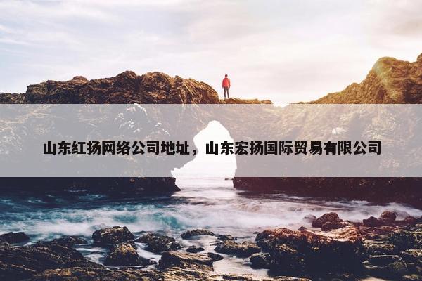 山东红扬网络公司地址，山东宏扬国际贸易有限公司
