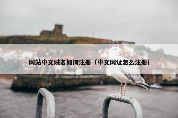 网站中文域名如何注册（中文网址怎么注册）
