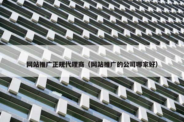 网站推广正规代理商（网站推广的公司哪家好）